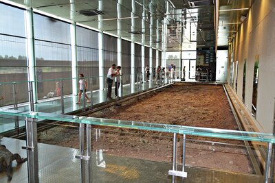 Pawilon paleontologiczny